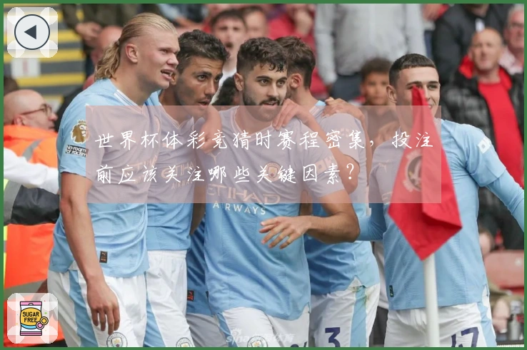 世界杯体彩竞猜时赛程密集，投注前应该关注哪些关键因素？