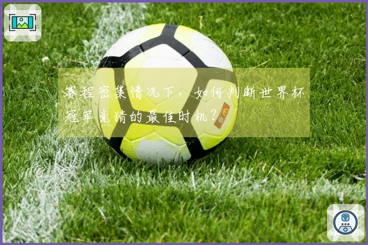 赛程密集情况下，如何判断世界杯冠军竞猜的最佳时机？