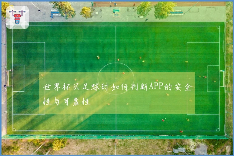 世界杯买足球时如何判断APP的安全性与可靠性