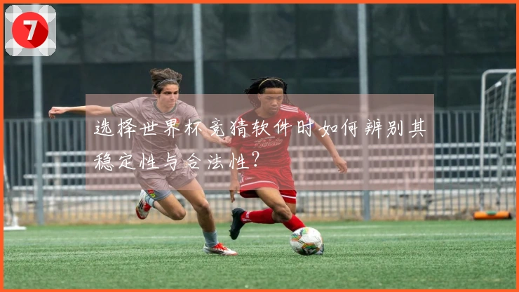 选择世界杯竞猜软件时如何辨别其稳定性与合法性？