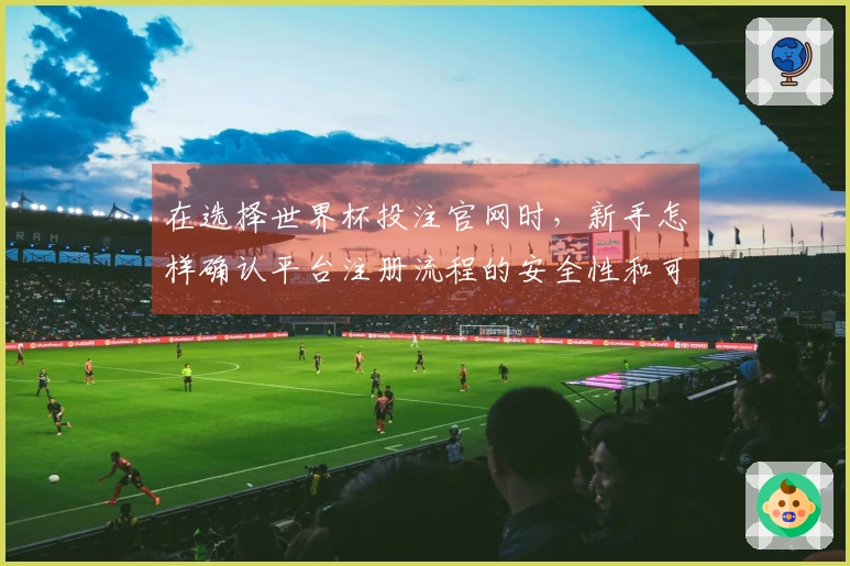 在选择世界杯投注官网时，新手怎样确认平台注册流程的安全性和可靠性