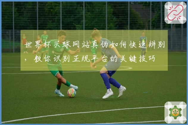 世界杯买球网站真伪如何快速辨别，教你识别正规平台的关键技巧