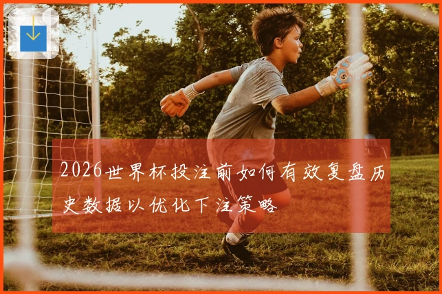2026世界杯投注前如何有效复盘历史数据以优化下注策略