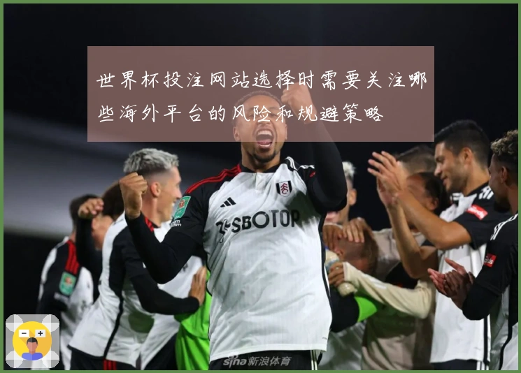 世界杯投注网站选择时需要关注哪些海外平台的风险和规避策略