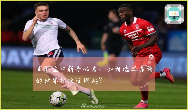 亚洲盘口新手必看，如何选择靠谱的世界杯投注网站？