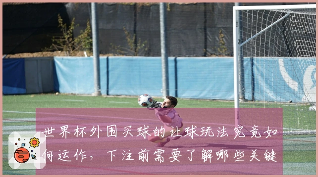 世界杯外围买球的让球玩法究竟如何运作，下注前需要了解哪些关键因素？