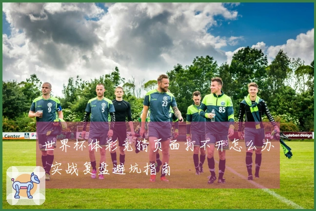 世界杯体彩竞猜页面打不开怎么办  实战复盘避坑指南