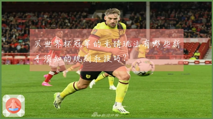 买世界杯冠军的竞猜玩法有哪些新手须知的规则和技巧？
