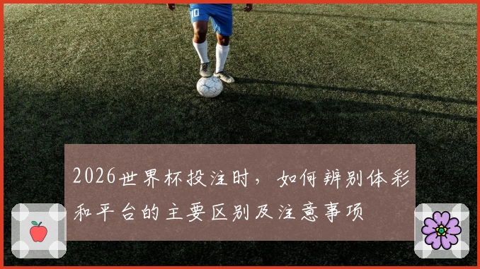 2026世界杯投注时，如何辨别体彩和平台的主要区别及注意事项