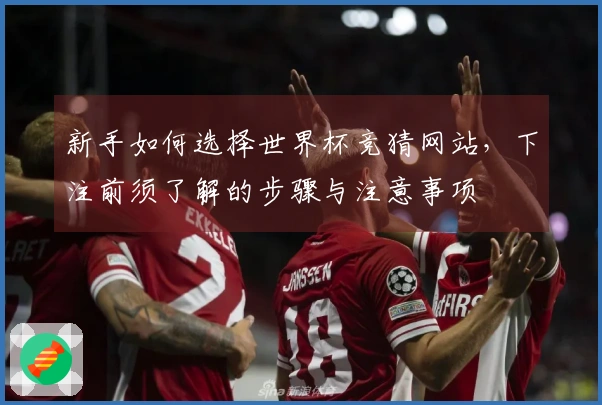新手如何选择世界杯竞猜网站，下注前须了解的步骤与注意事项