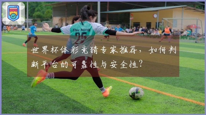世界杯体彩竞猜专家推荐，如何判断平台的可靠性与安全性？