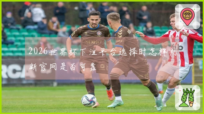 2026世界杯下注平台选择时怎样判断官网是否可靠