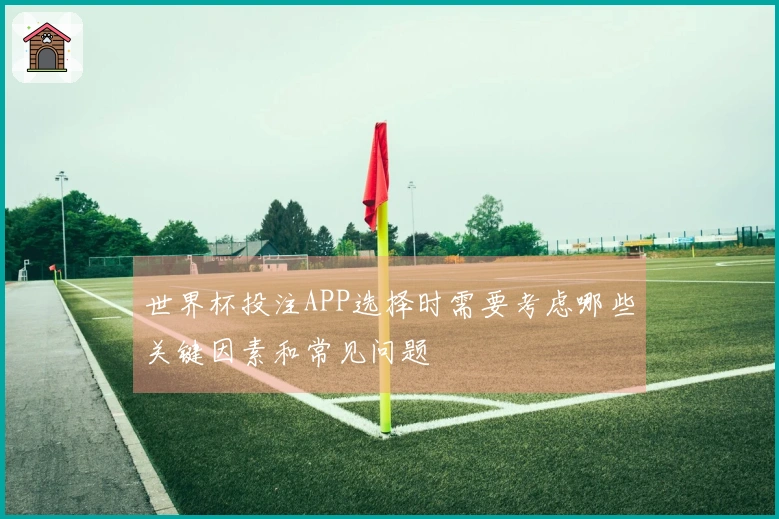 世界杯投注APP选择时需要考虑哪些关键因素和常见问题