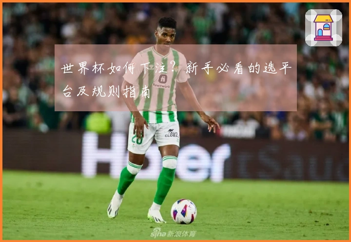 世界杯如何下注？新手必看的选平台及规则指南