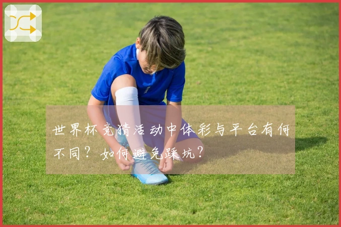 世界杯竞猜活动中体彩与平台有何不同?如何避免踩坑?