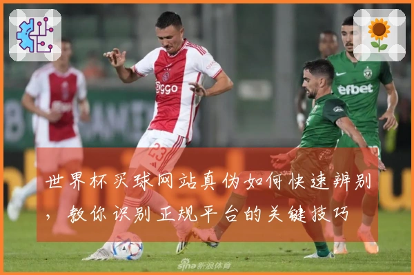 世界杯买球网站真伪如何快速辨别，教你识别正规平台的关键技巧