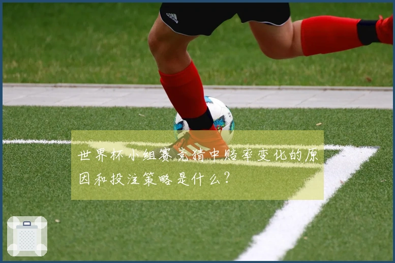世界杯小组赛竞猜中赔率变化的原因和投注策略是什么？