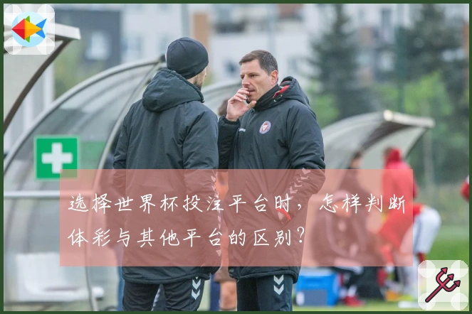 选择世界杯投注平台时，怎样判断体彩与其他平台的区别？