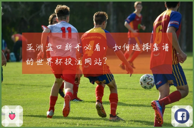 亚洲盘口新手必看，如何选择靠谱的世界杯投注网站？