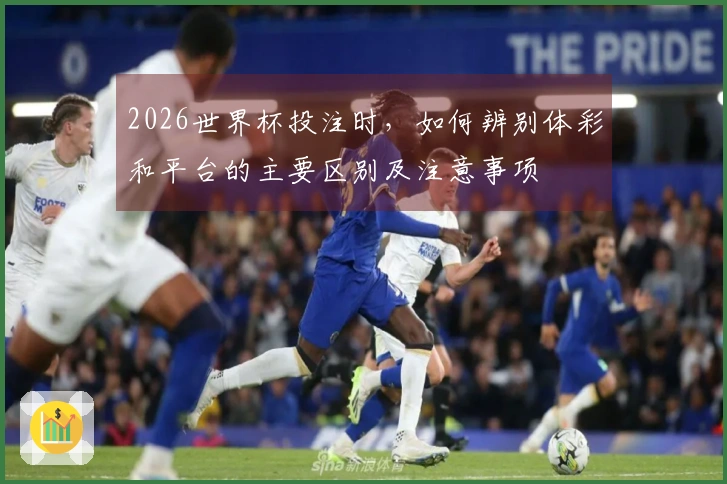 2026世界杯投注时，如何辨别体彩和平台的主要区别及注意事项