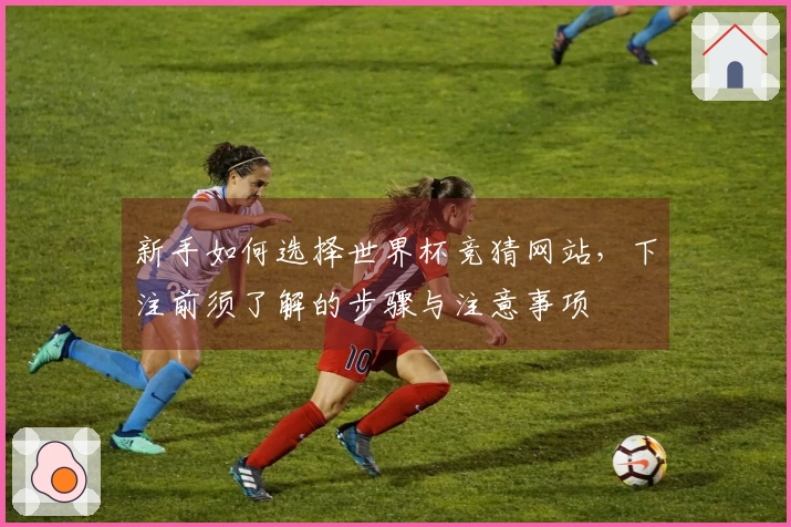 新手如何选择世界杯竞猜网站，下注前须了解的步骤与注意事项