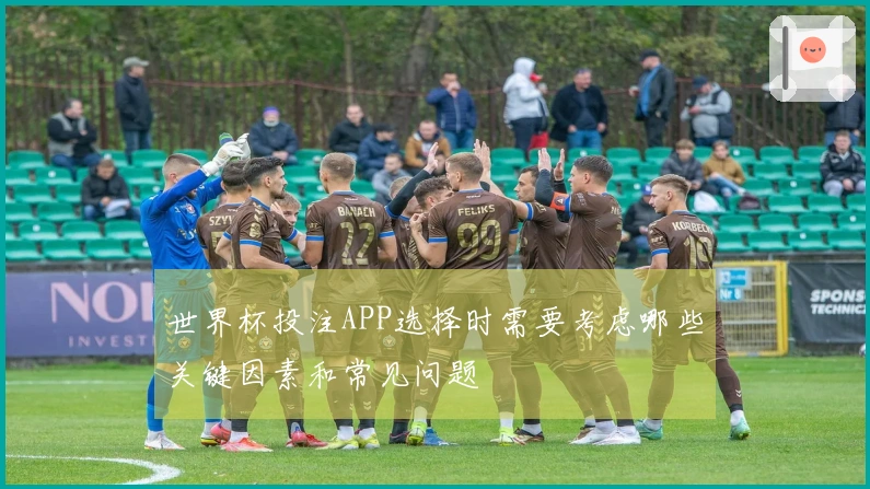 世界杯投注APP选择时需要考虑哪些关键因素和常见问题