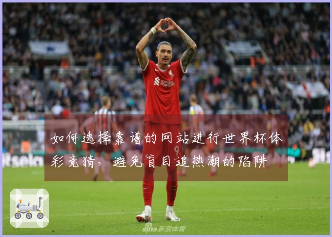 如何选择靠谱的网站进行世界杯体彩竞猜，避免盲目追热潮的陷阱