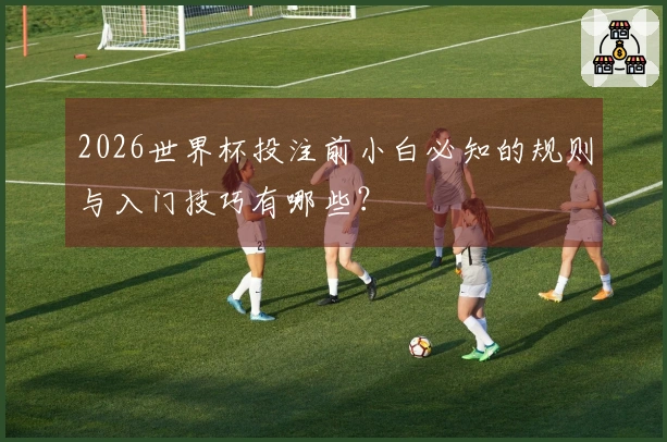 2026世界杯投注前小白必知的规则与入门技巧有哪些？