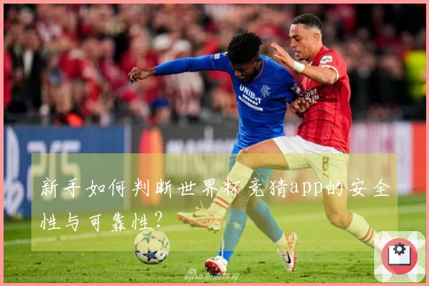 新手如何判断世界杯竞猜app的安全性与可靠性？