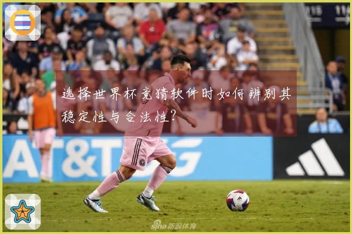 选择世界杯竞猜软件时如何辨别其稳定性与合法性？