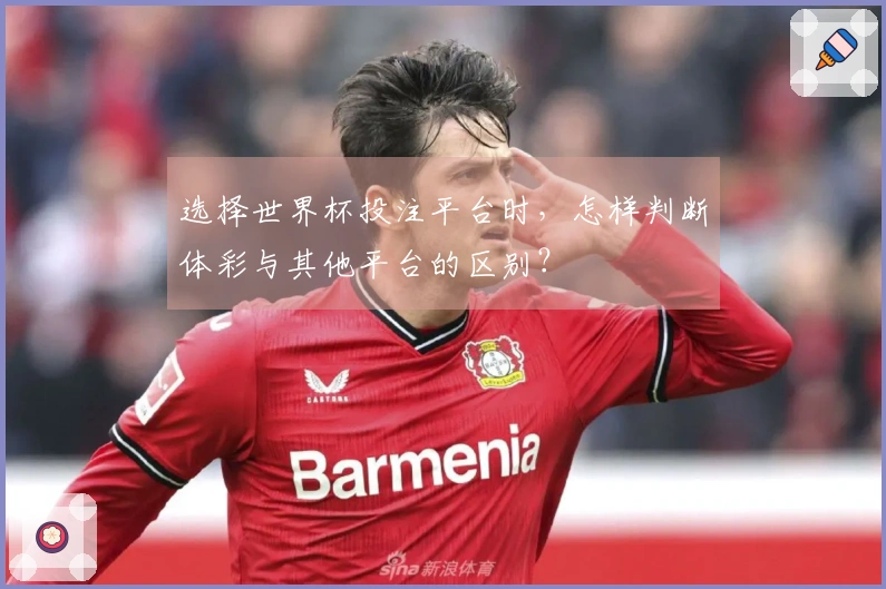 选择世界杯投注平台时，怎样判断体彩与其他平台的区别？