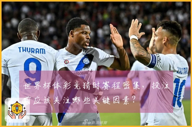 世界杯体彩竞猜时赛程密集，投注前应该关注哪些关键因素？