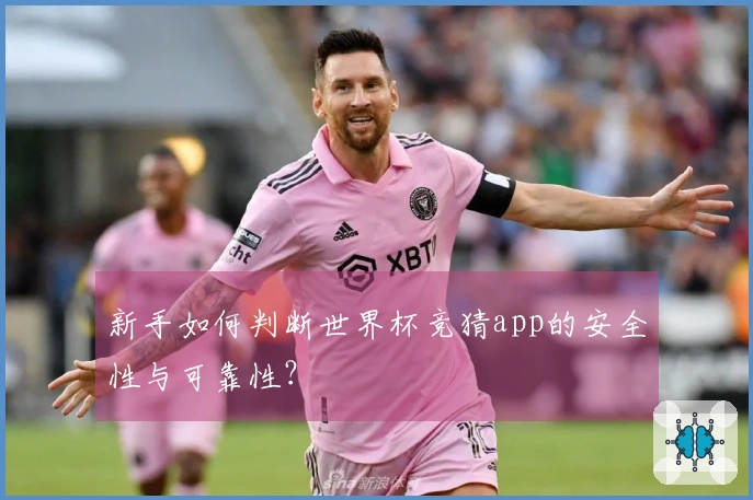 新手如何判断世界杯竞猜app的安全性与可靠性？
